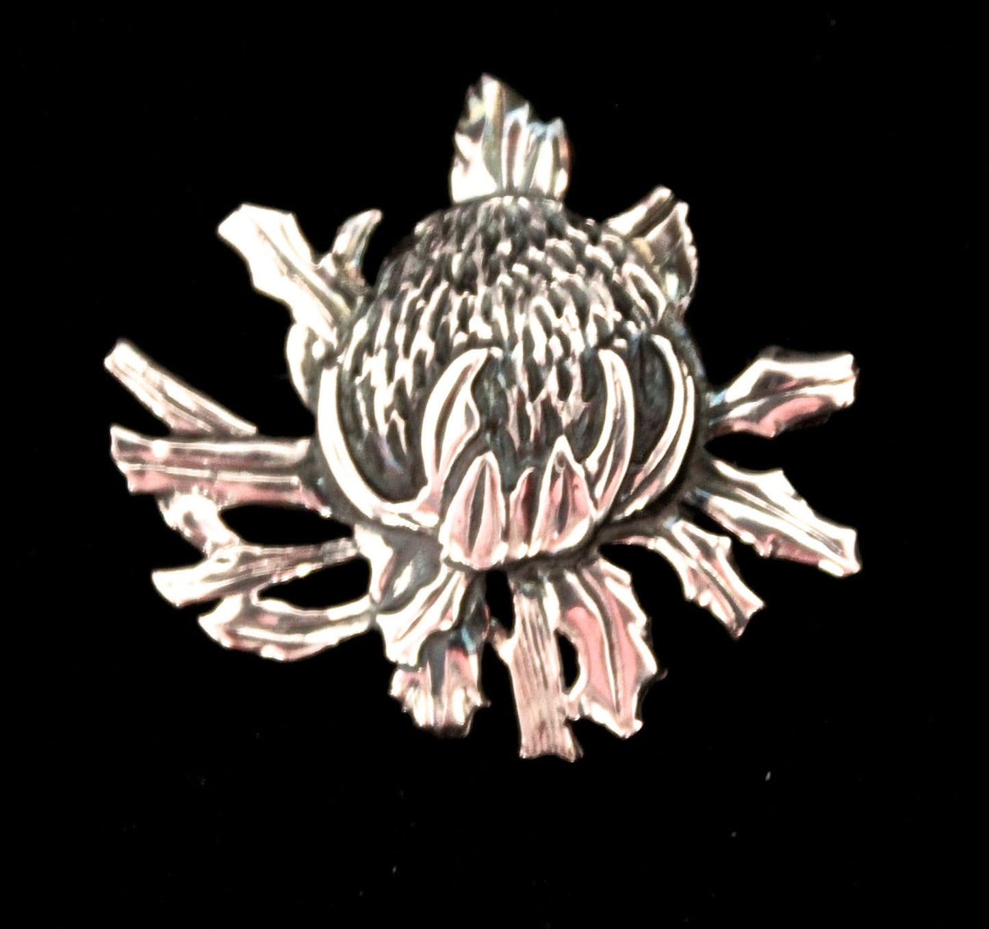 Waratah Brooch
