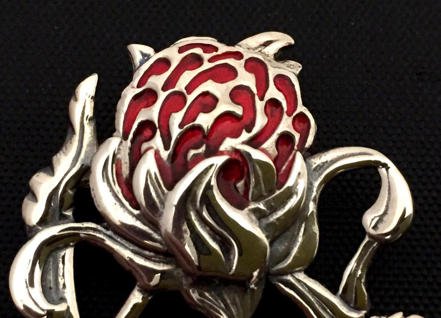 Large Waratah brooch- sterling silver, cold fill enamel