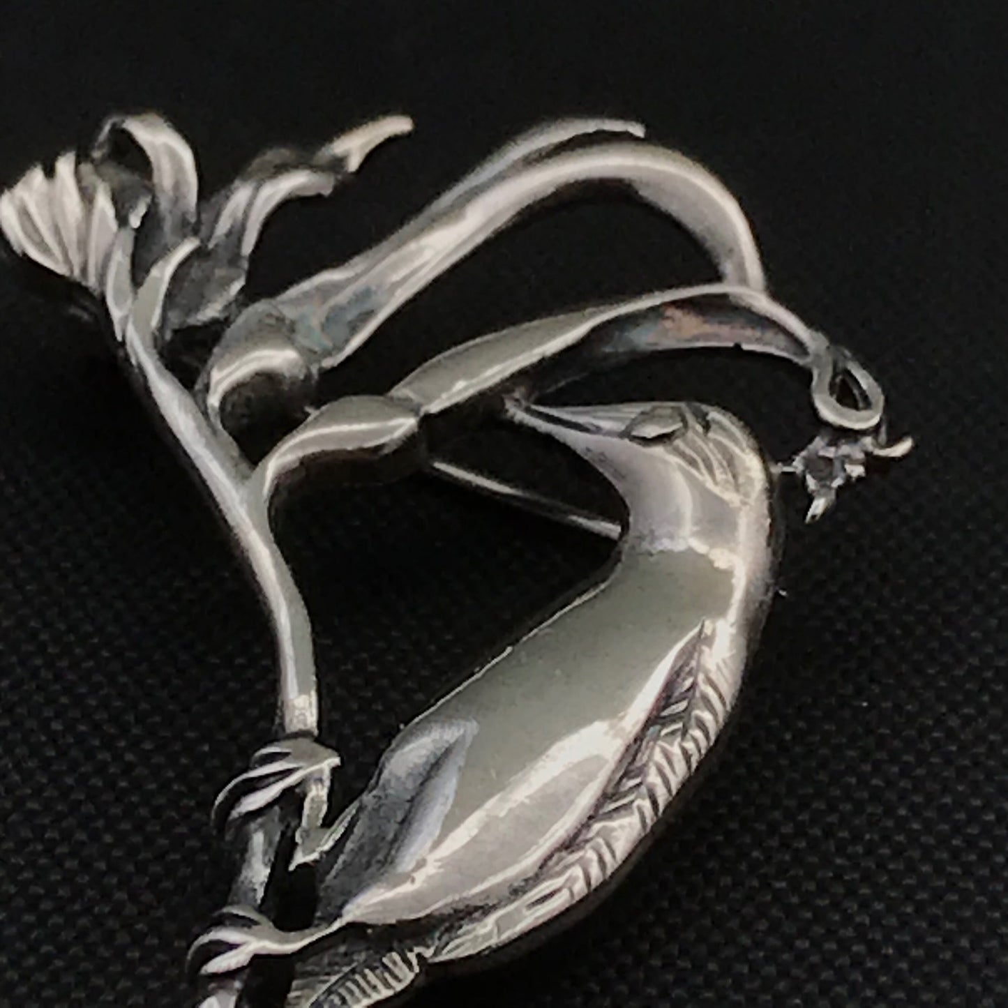 Kangaroo Paw/ Honey Eater Brooch- sterling silver  48mm