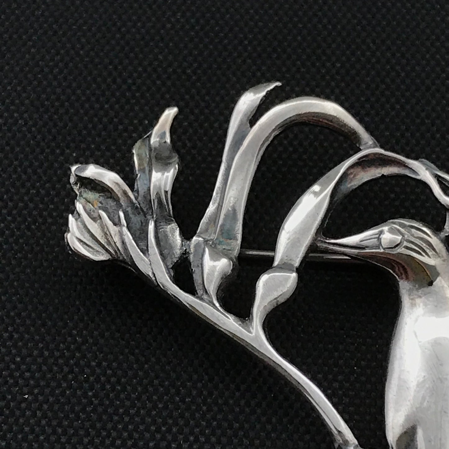 Kangaroo Paw/ Honey Eater Brooch- sterling silver  48mm