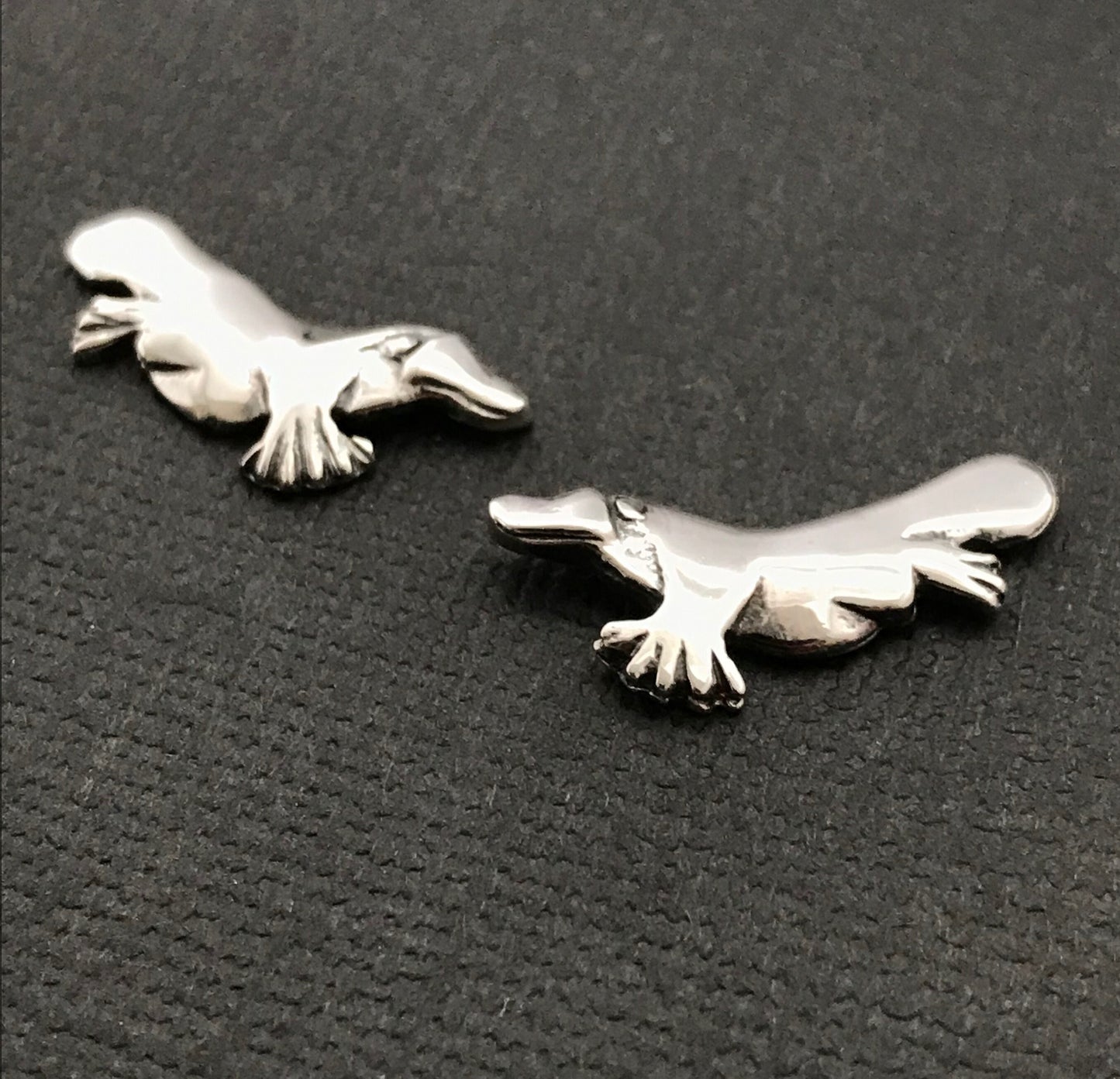 Platypus stud earings - sterling silver 22mm