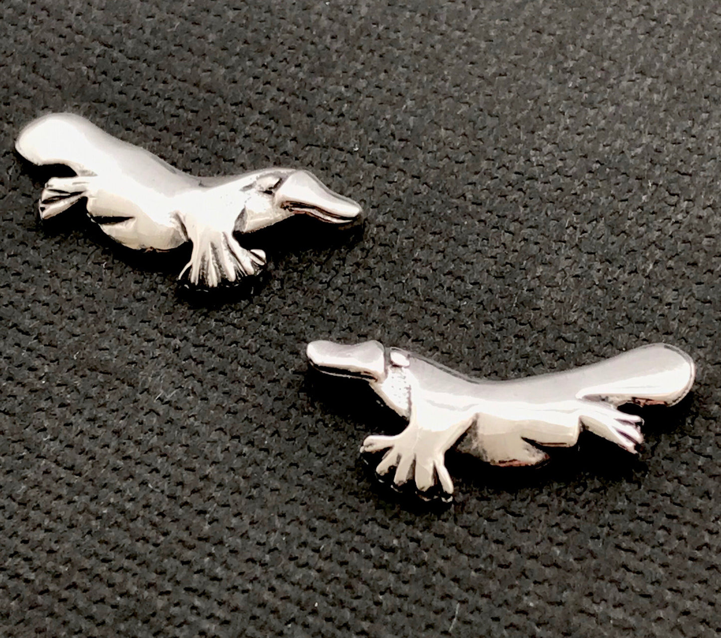 Platypus stud earings - sterling silver 22mm