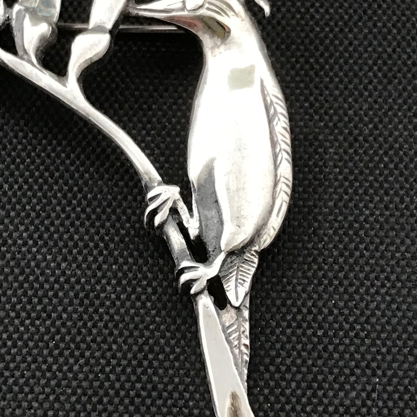 Kangaroo Paw/ Honey Eater Brooch- sterling silver  48mm