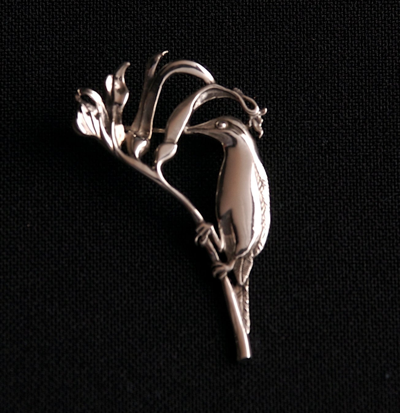 Kangaroo Paw/ Honey Eater Brooch- sterling silver  48mm