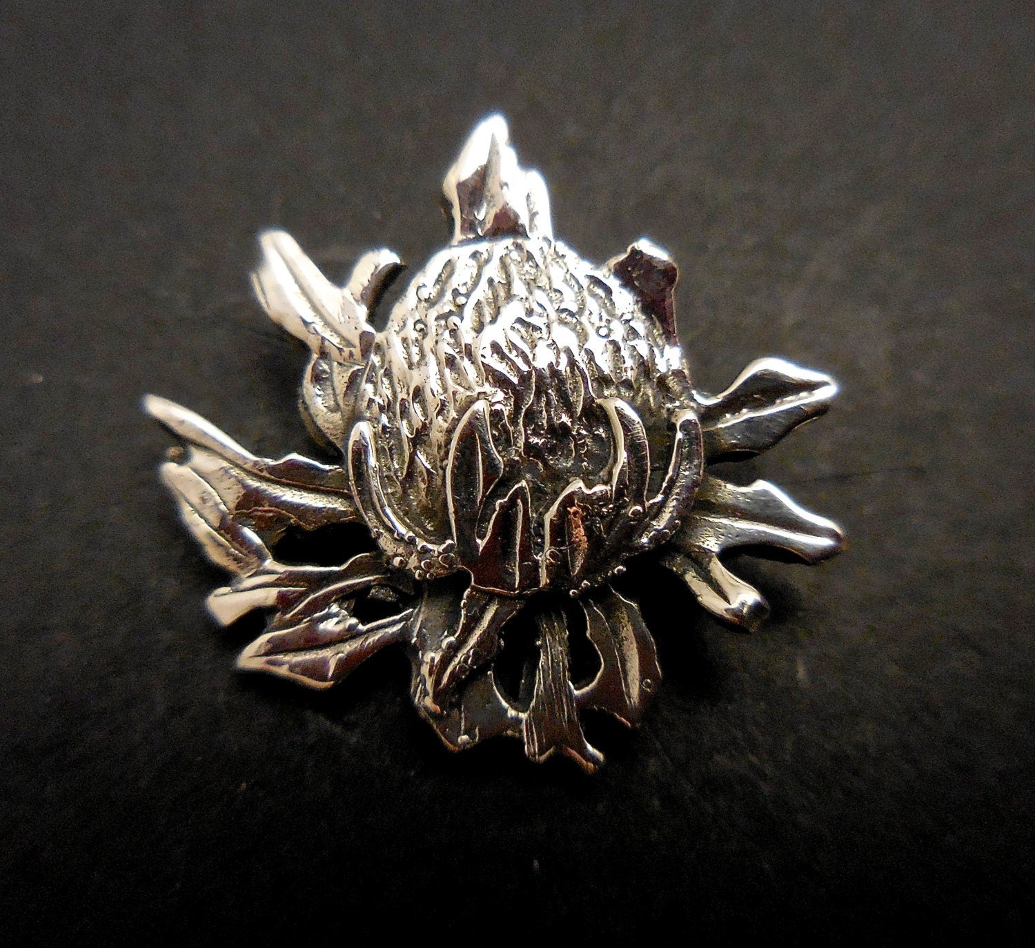 Waratah pin - sterling silver 19mm – Silver Earth Design